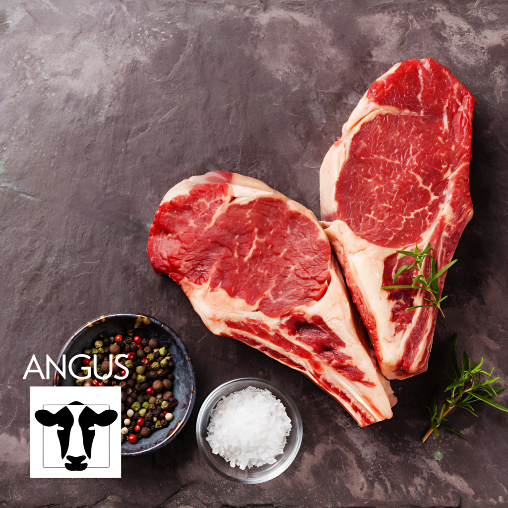 Premium ANGUS Ribeye Stejk Sazreo 45 Dana GrillShop